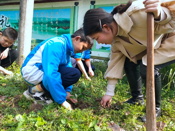 碗厂小学植树活动